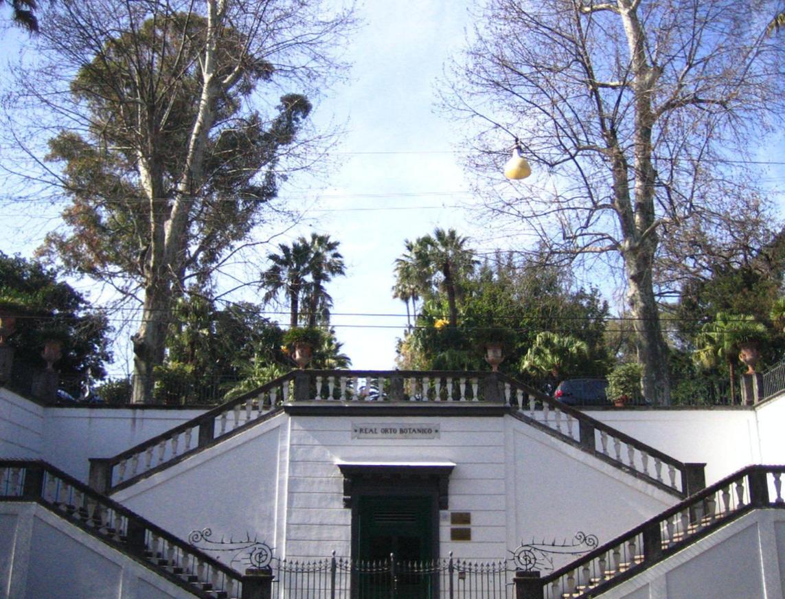 דירות נאפולי Ira House מראה חיצוני תמונה